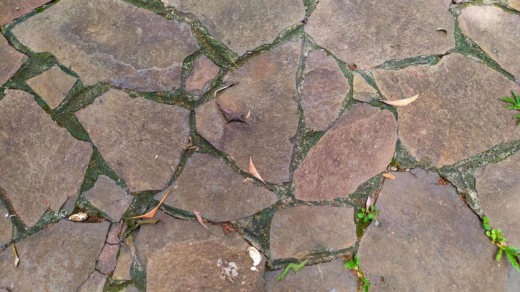 a footpath made of large stone tiles surrounded by wild plants around it photo
