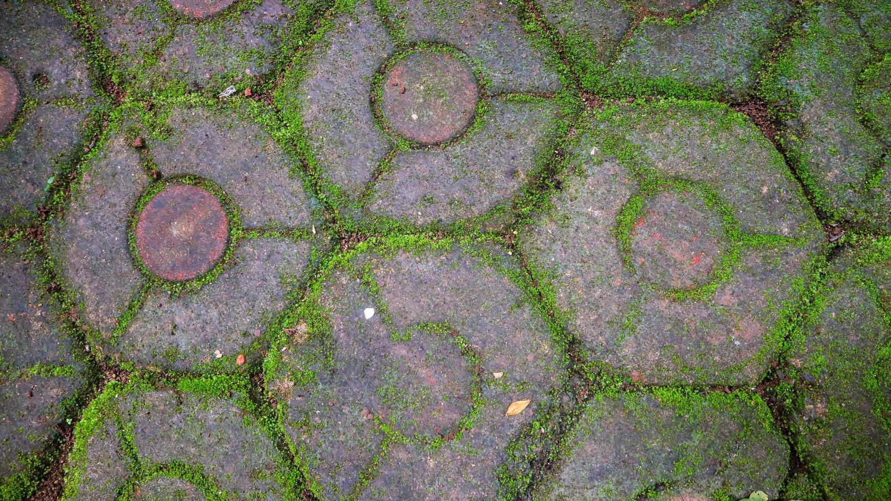 foto de un la carretera hecho de hexagonal ladrillos arreglado pulcramente