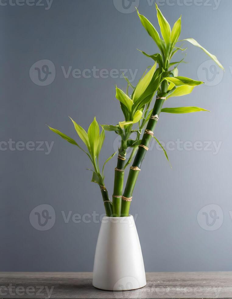 AI generated Bamboo plant in white vase on gray background, stock photo