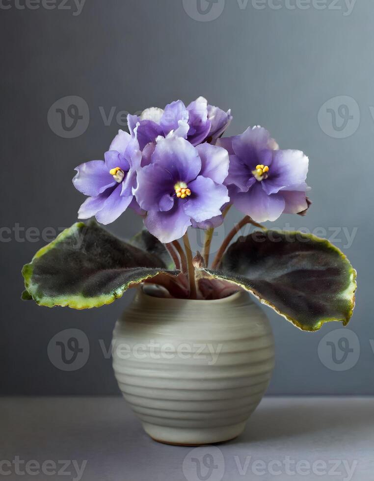AI generated saintpaulia flowers in vase in grey background photo
