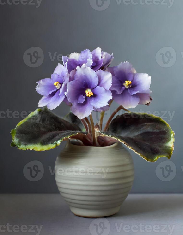 ai generado saintpaulia flores en florero en gris antecedentes foto