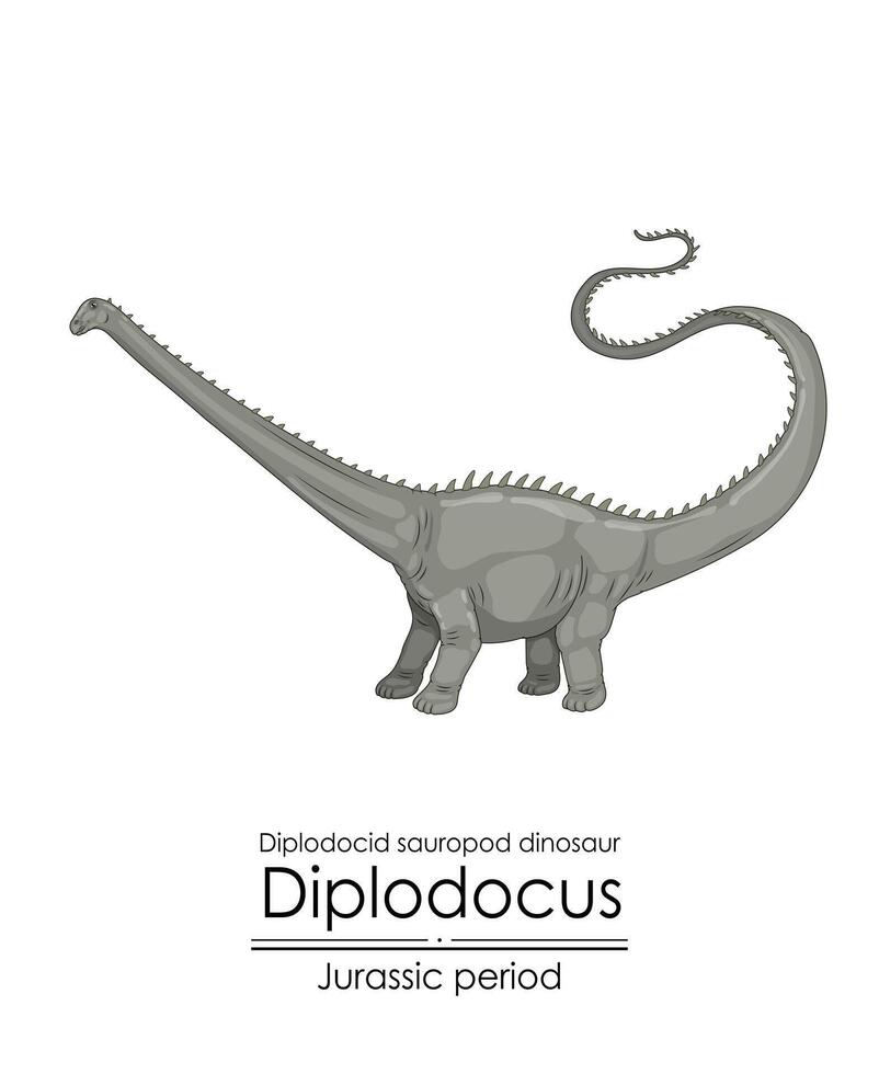 Diplodocus, a Jurassic period herbivorous creature vector