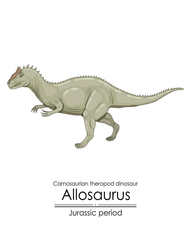 Allosaurus, a large carnivorous predator. vector