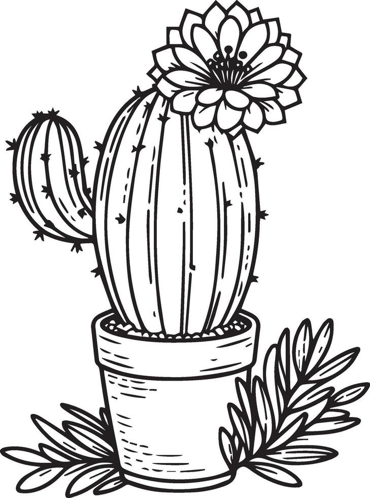Hand drawing cactus coloring pages for adults, isolated cactus coloring pages, cactus illustrations, cactus coloring pages isolated on white background, free printable cactus coloring page vector