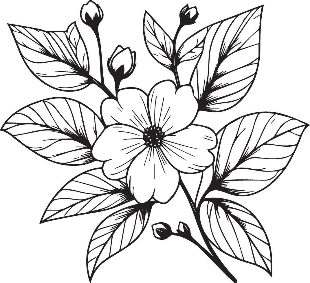 árabe jazmín flor tatuaje, minimalista contorno jazmín flor tatuaje, negro y blanco jazmín flor dibujo, dibujo botánico jazmín flor, científico jazmín botánico ilustración vector