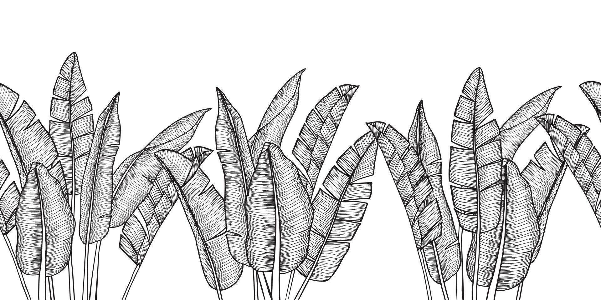 Seamless vector background with tropical banana palms in engraving style for wallpapers, clothing, backgrounds, textiles, printing, invitations, and various modern designs.