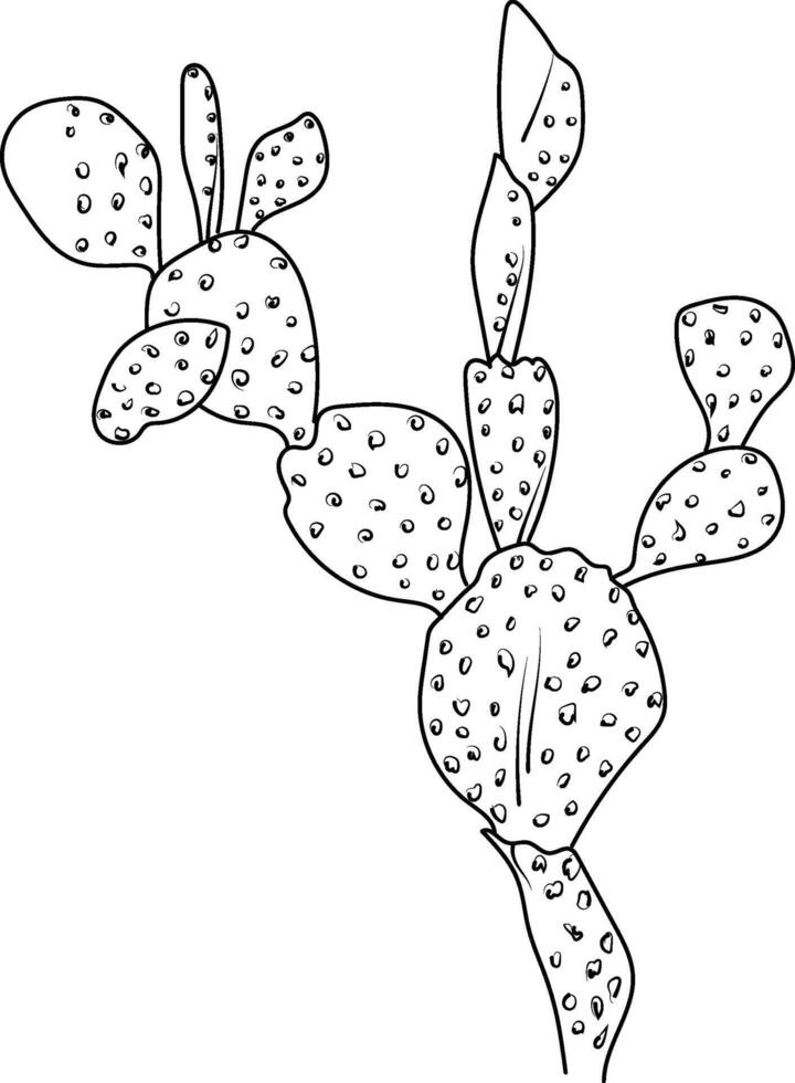 plant simple cactus coloring page printable succulent coloring page, desert cactus coloring page,  outline cactus coloring page, realistic cactus coloring page, pencil cactus drawing vector