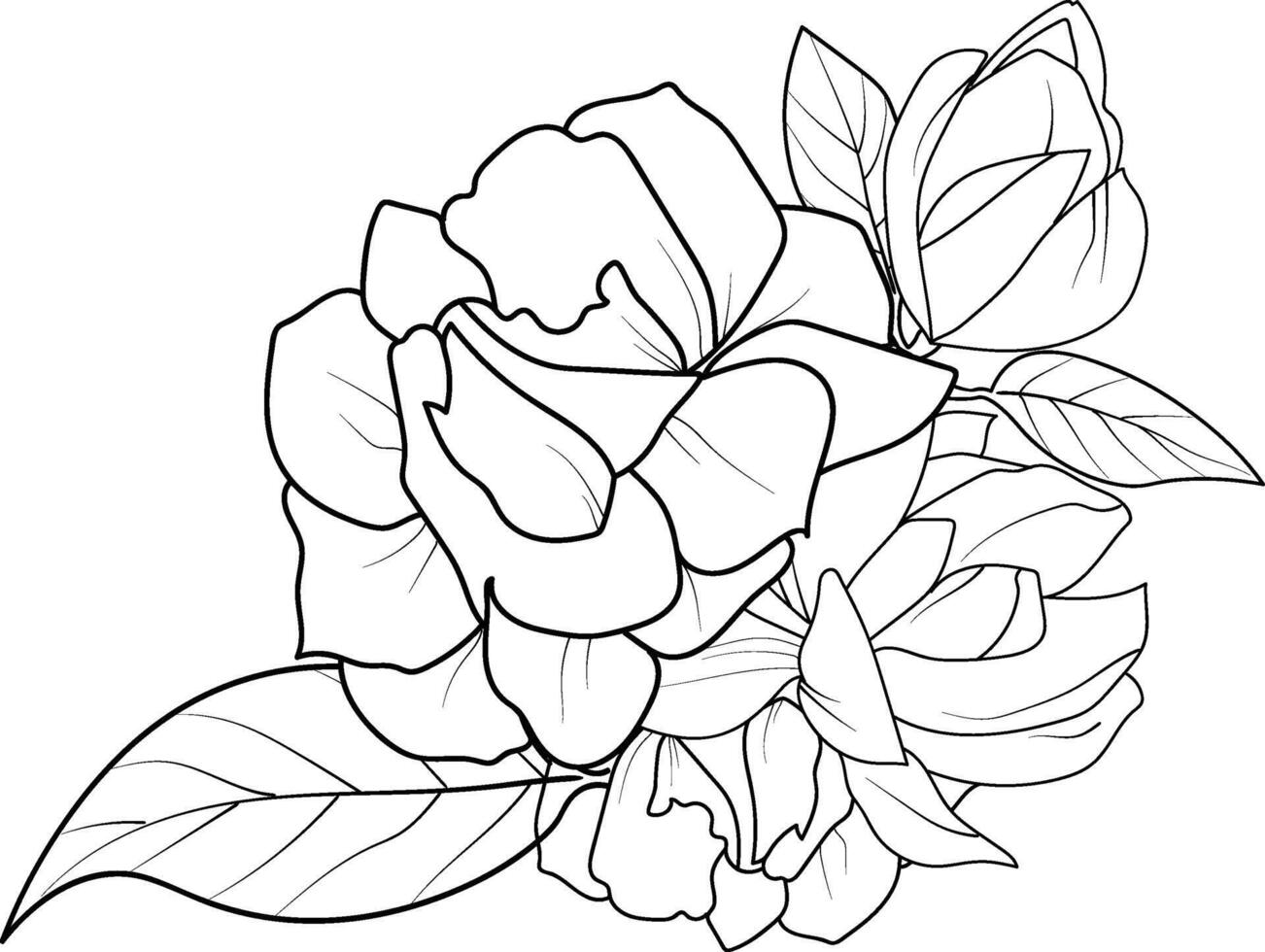 Unique flower coloring pages, Hand-drawn vector illustration of a garden variety of jasmine flowers outline illustration, gerdenia Flowers Wall Decor, jasmine flower art printeble template