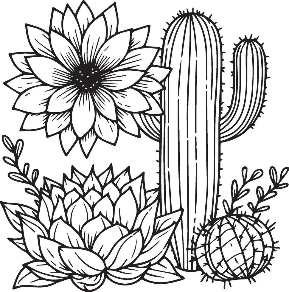 Cactus illustration, cactus line drawings. cactus printable coloring