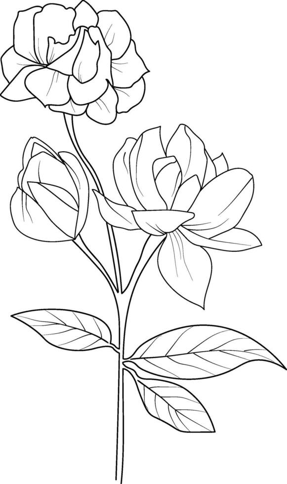 Single line drawing of beauty fresh jasmine for home wall decor Printable poster decorative jasmine flower concept. Modern line drawing jasmine flower vector illustration