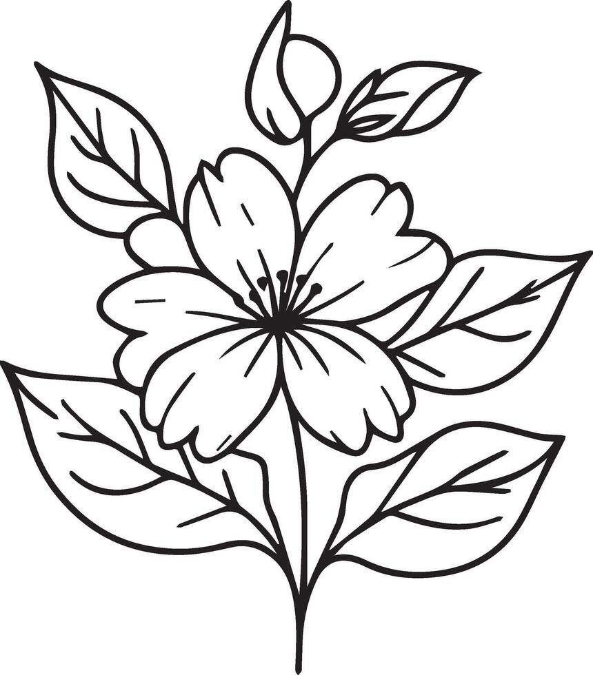 Easy jasmine flower, sketch jasmine flower drawing, tattoo jasmine flower drawing, outline jasmine flower tattoo, simple jasmine flower tattoo, minimalist jasmine flower tattoo vector