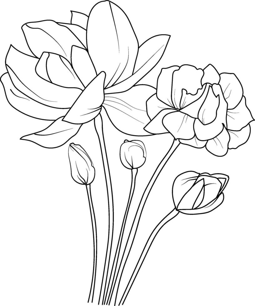 Jasmine flower line art, flower coloring pages for adult, pretty flower coloring pages, hand drawn jasmine flower, botanical gerdania  black and white illustration, linework star jasmine flowers vector