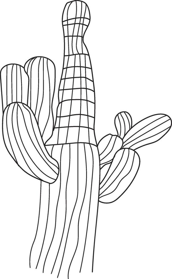 planta sencillo cactus colorante página imprimible suculento colorante página, Desierto cactus colorante página, contorno cactus colorante página, realista cactus colorante página, lápiz cactus dibujo vector