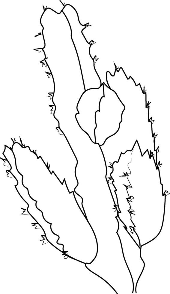 sencillo cactus dibujo negro y blanco linda cactus clipart negro y blanco, cactus línea arte, cactus vector arte, mano dibujado cactus, cactus colorante paginas para niños