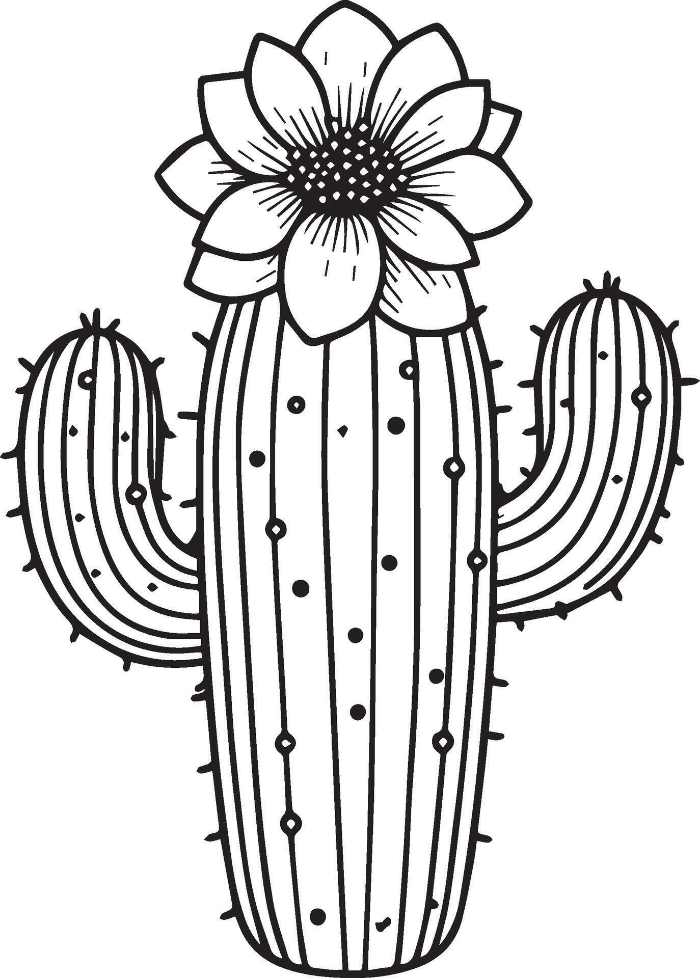 Desert cactus coloring page, outline cactus coloring page, realistic