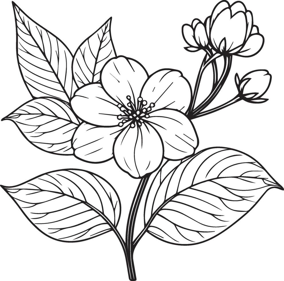Single line drawing of beauty fresh jasmine for home wall decor Printable poster decorative jasmine flower concept. Modern line drawing jasmine flower vector illustration