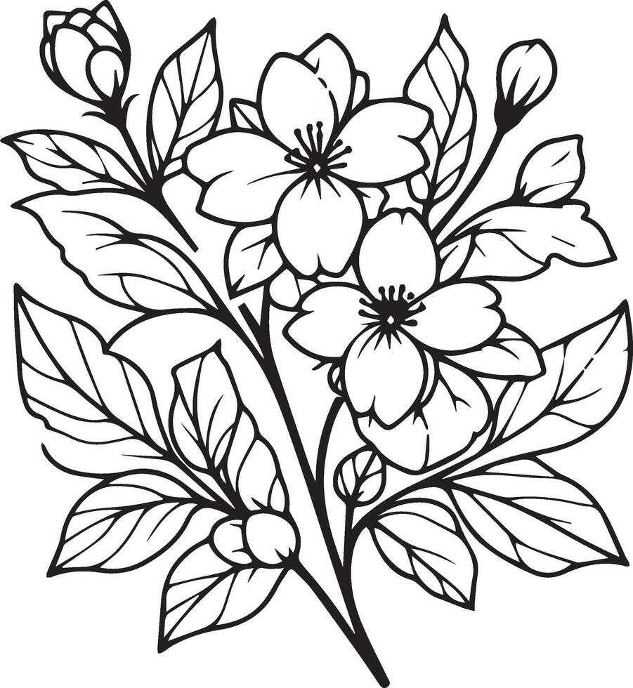 white jasmine flower drawing, realistic jasmine flower drawing, art jasmine flower drawing, line art simple jasmine flower drawing, realistic jasmine flower pencil drawing vector