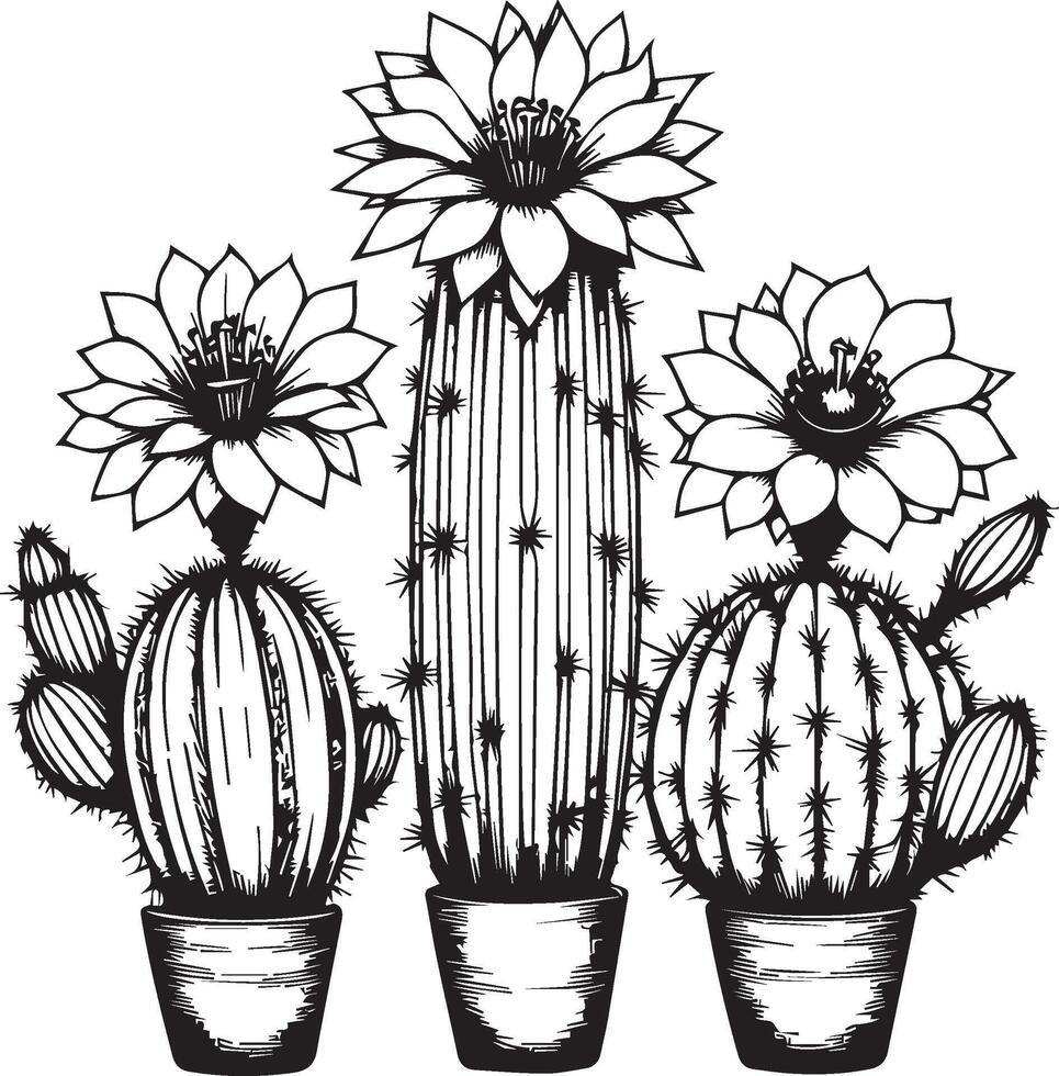 Desert cactus coloring page,  outline cactus coloring page, realistic cactus coloring page, pencil cactus drawing, pencil sketch cactus drawing, cactus drawing black and white vector