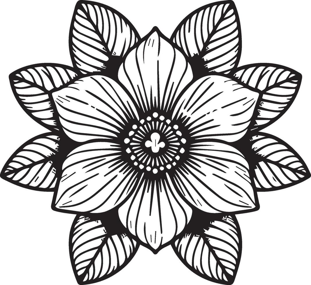 Jasmine flowers coloring page, simplicity, Embellishment, monochrome, vector art, Outline print with blossoms jasmine flower, jasmine bouquet leaves, and buds, jasmine flower tattoo drawing