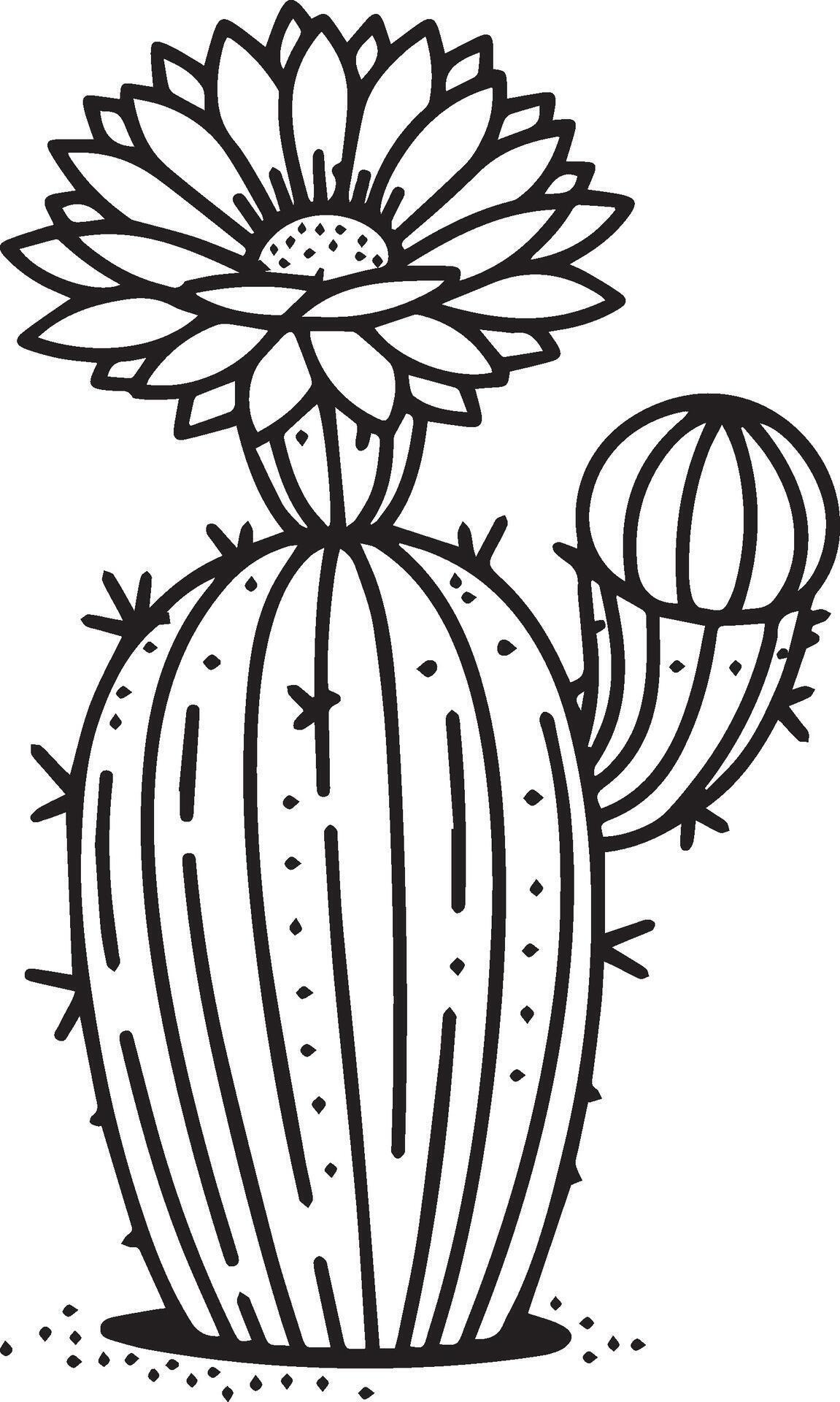 Realistic cactus flower coloring page, pencil cactus drawing, pencil