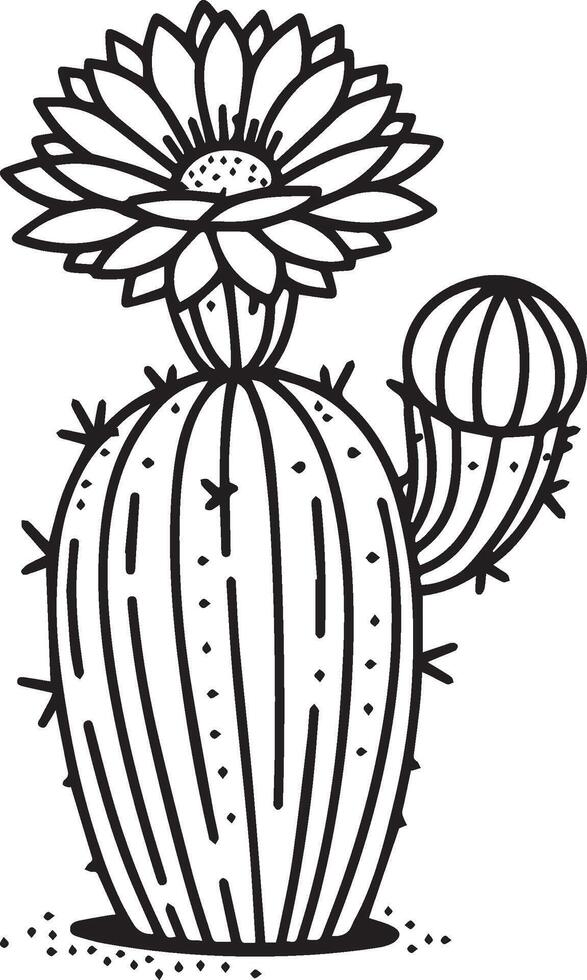 realista cactus flor colorante página, lápiz cactus dibujo, lápiz bosquejo cactus dibujo, cactus dibujo negro y blanco, sencillo cactus dibujo negro y blanco linda cactus clipart negro y blanco vector