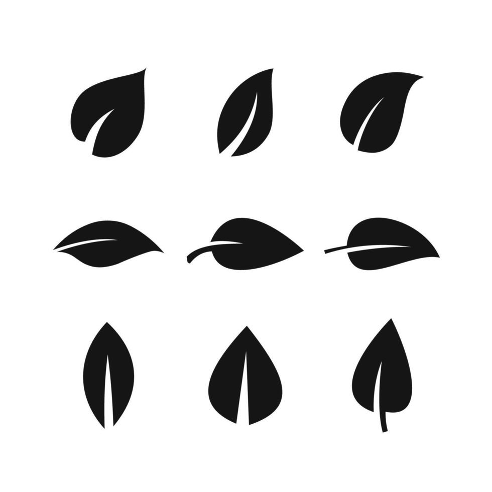 Leaves icons set on white background. vector