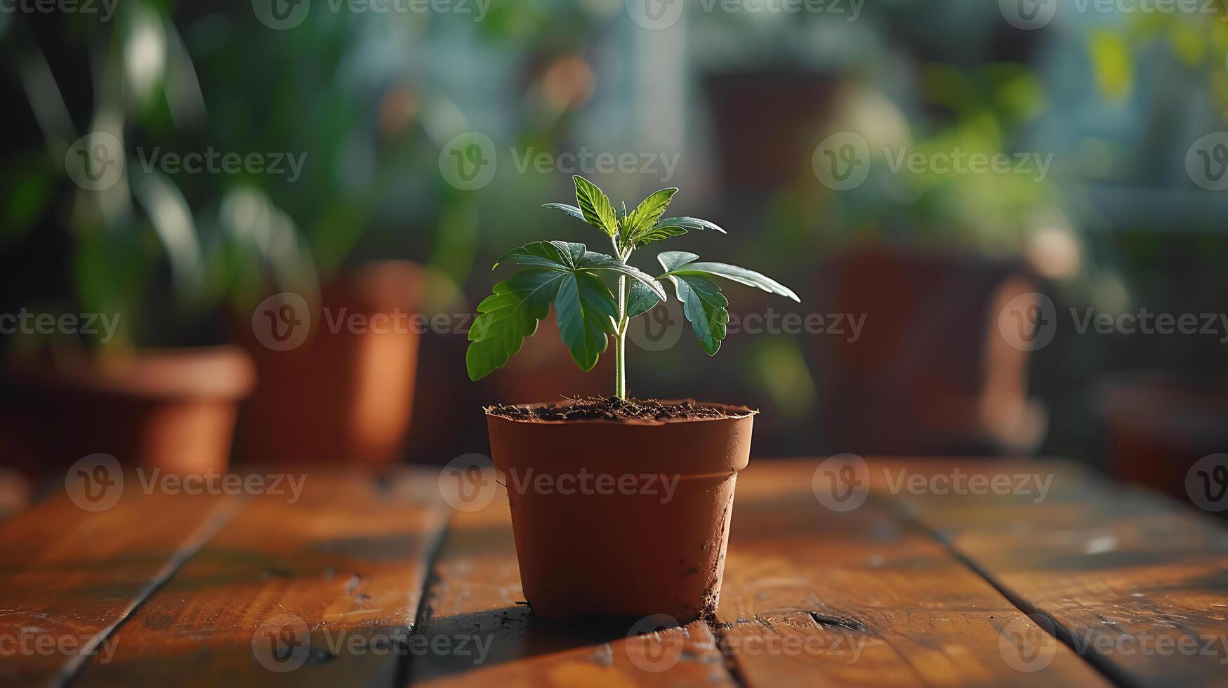 ai generado un pequeño cáñamo planta en un maceta en un de madera mesa foto