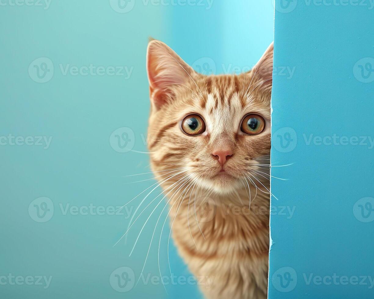 AI generated Cute ginger cat peeking from behind a blue sheet of paper photo