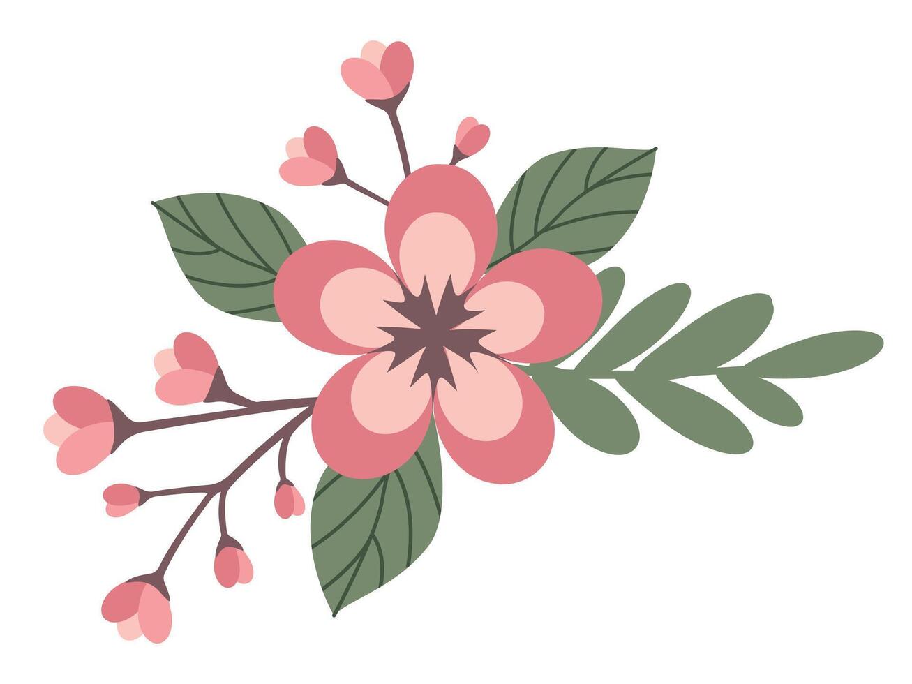 Blossom sakura flowers branch vector