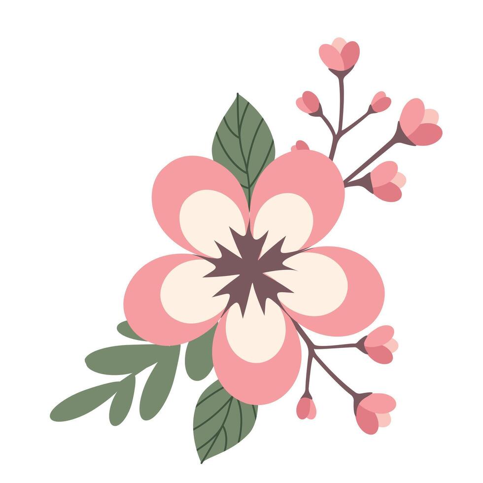 Blossom sakura flowers branch vector