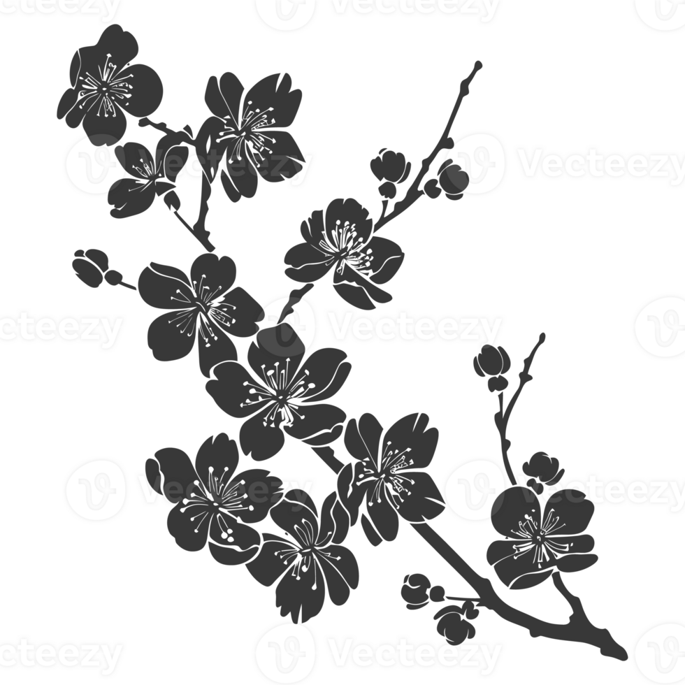 AI generated Silhouette Cherry blossoms or sakura flower black color only png
