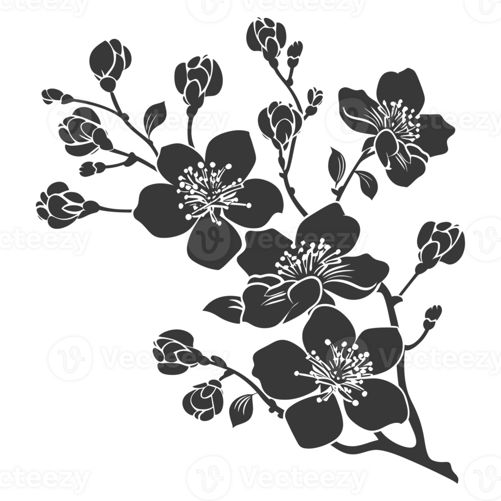 AI generated Silhouette Cherry blossoms or sakura flower black color only png