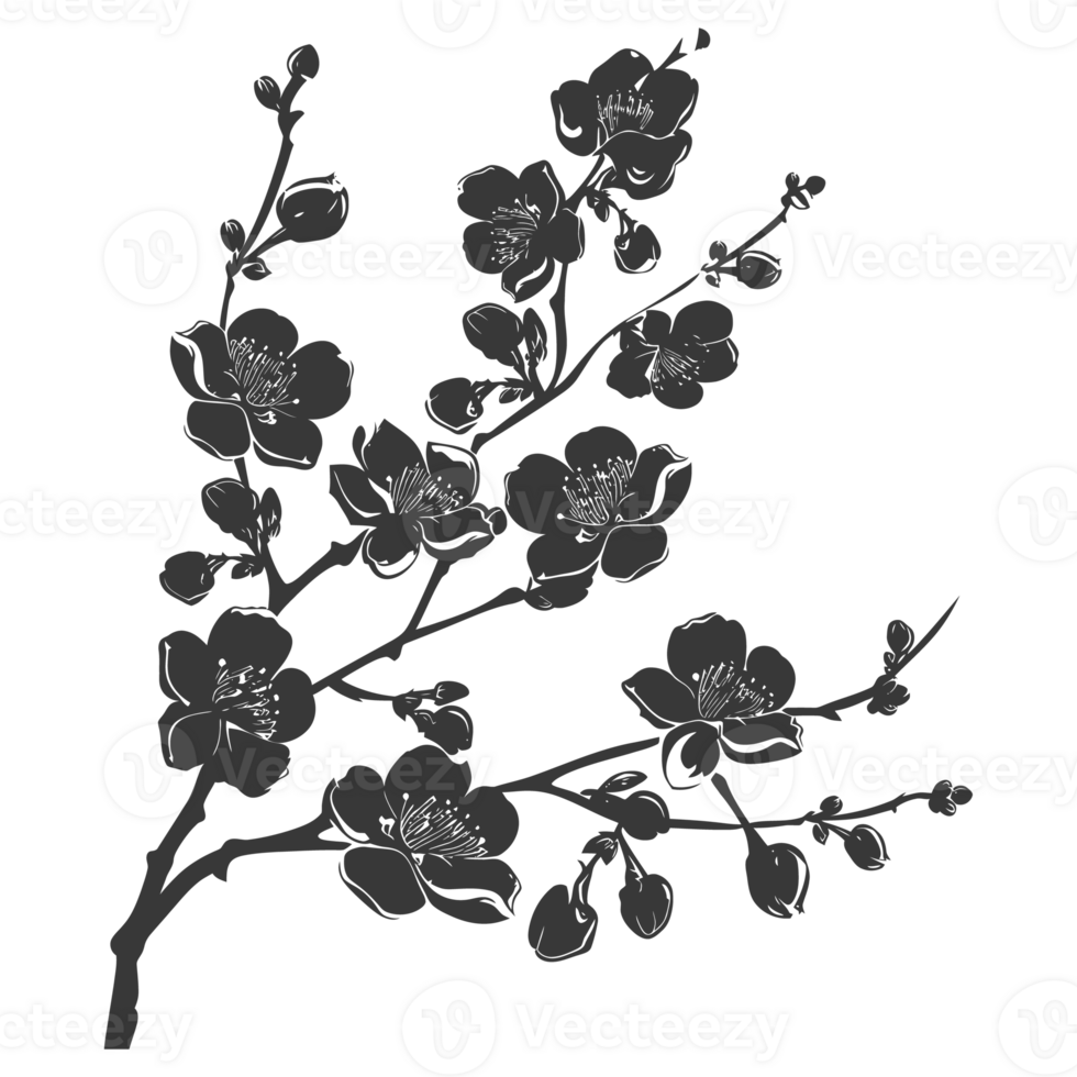 AI generated Silhouette Cherry blossoms or sakura flower black color only png