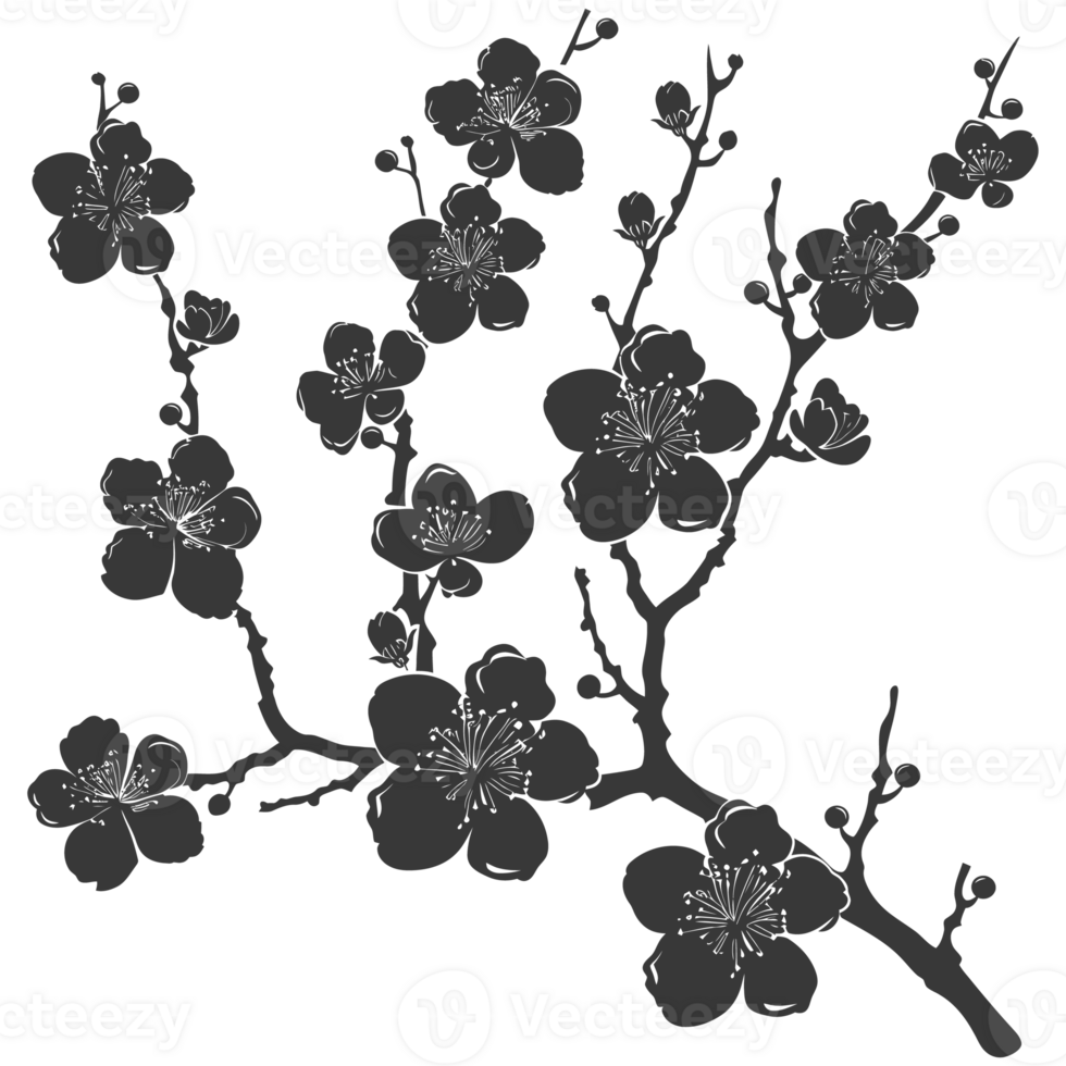 AI generated Silhouette Cherry blossoms or sakura flower black color only png