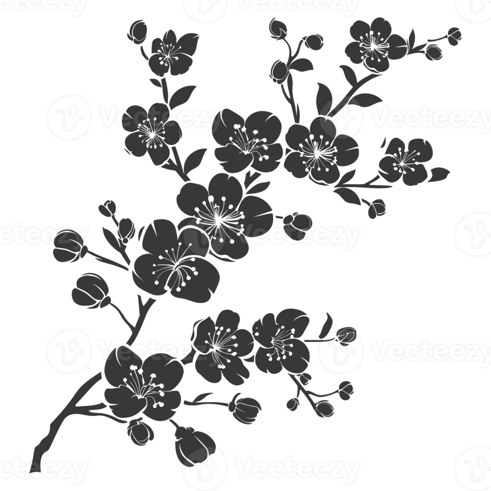 AI generated Silhouette Cherry blossoms or sakura flower black color only png