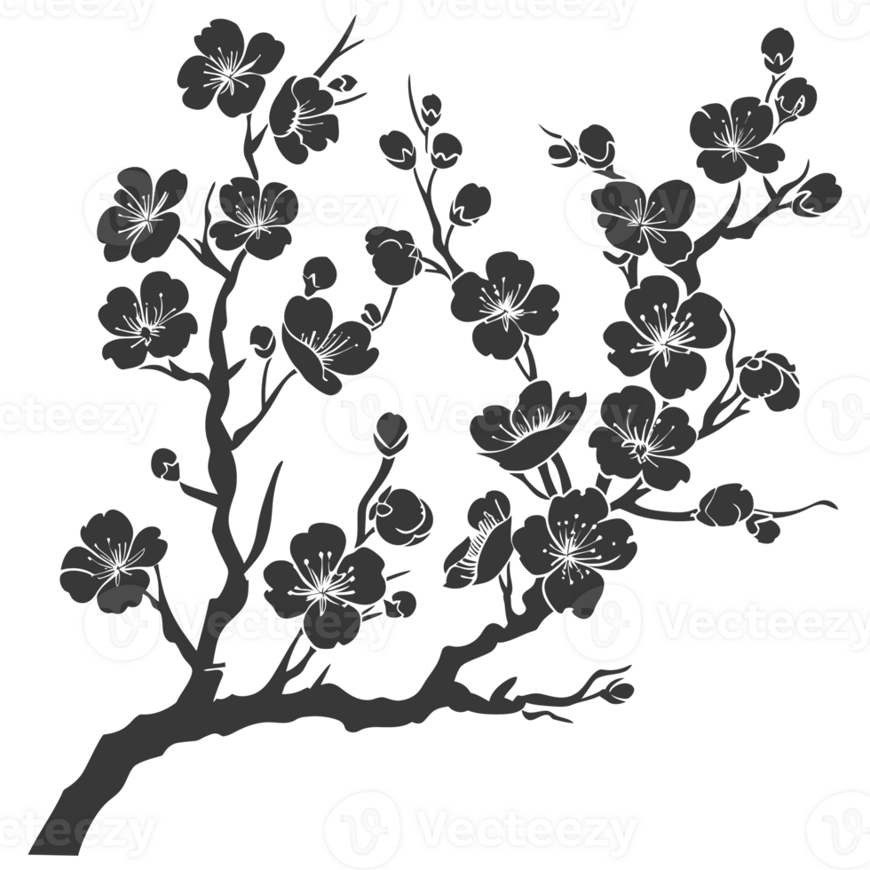 AI generated Silhouette Cherry blossoms or sakura flower black color only png