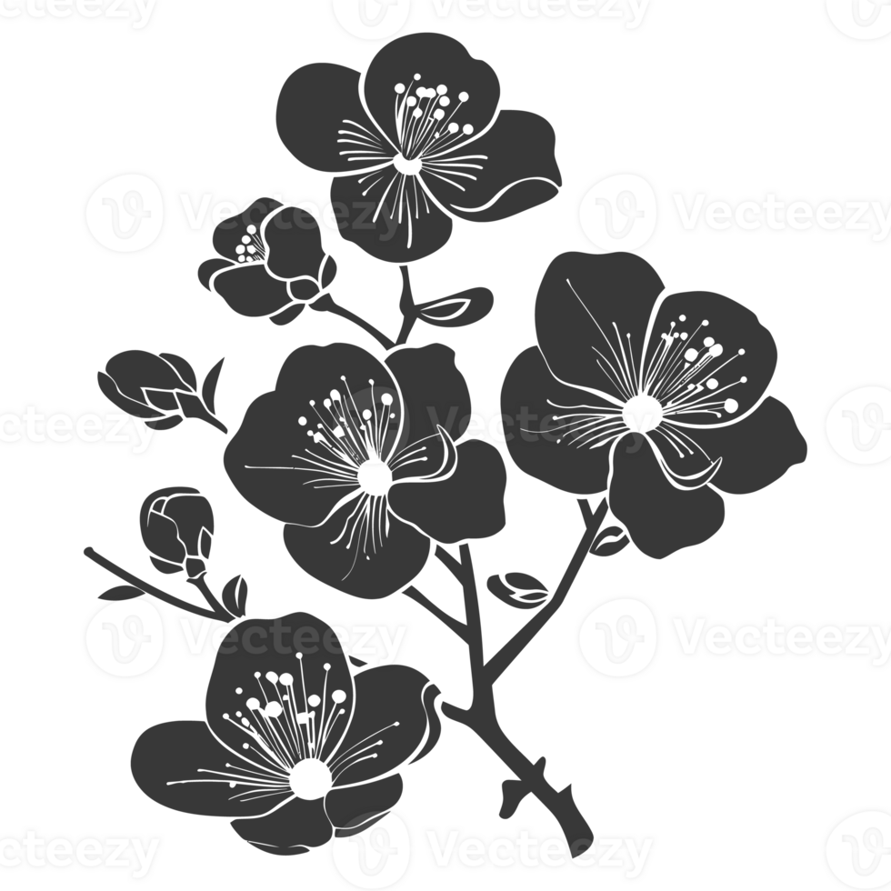 AI generated Silhouette Cherry blossoms or sakura flower black color only png