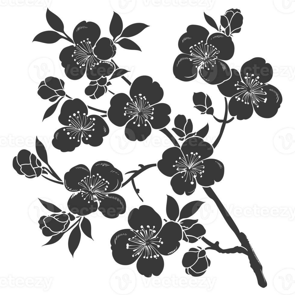 AI generated Silhouette Cherry blossoms or sakura flower black color only png
