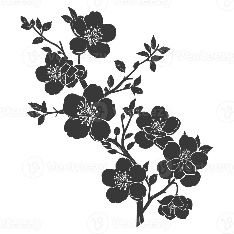 AI generated Silhouette Cherry blossoms or sakura flower black color only png