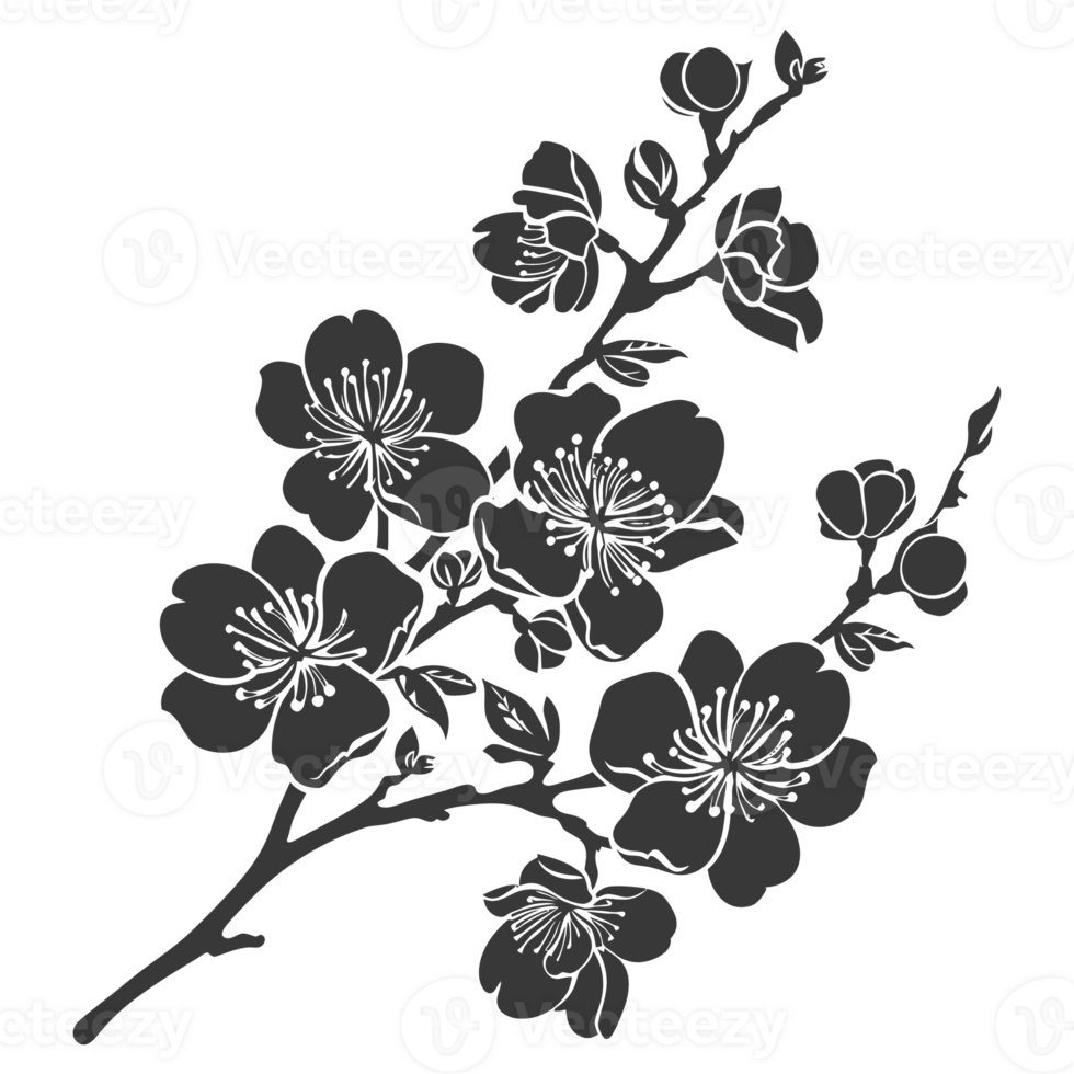 AI generated Silhouette Cherry blossoms or sakura flower black color only png