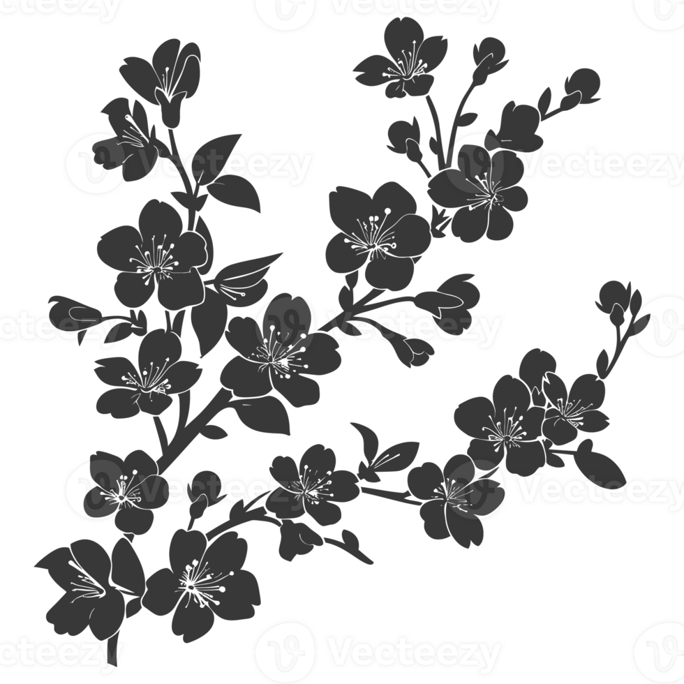 AI generated Silhouette Cherry blossoms or sakura flower black color only png