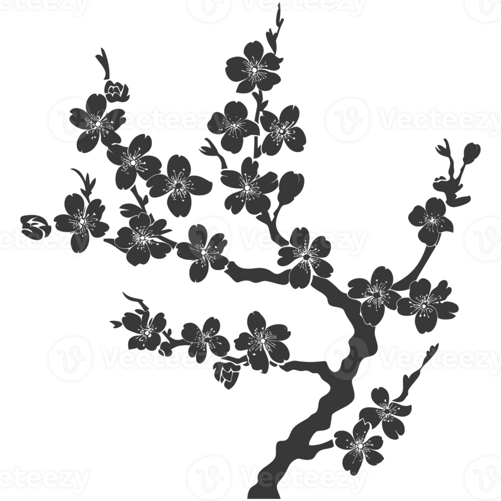 AI generated Silhouette Cherry blossoms or sakura flower black color only png