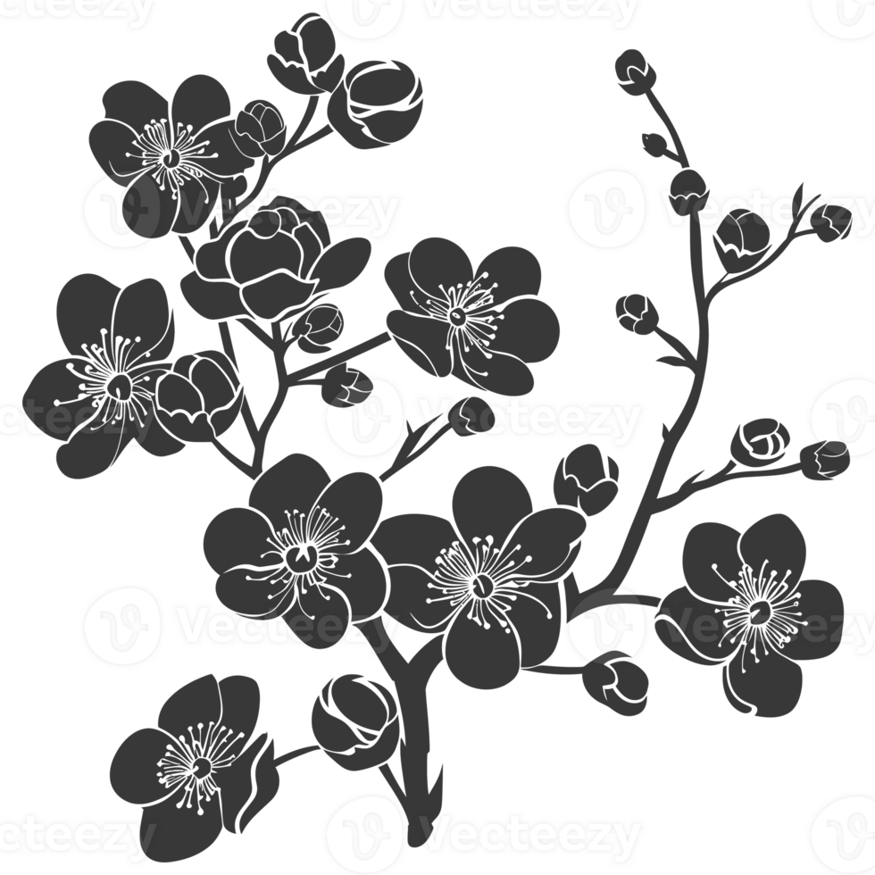 AI generated Silhouette Cherry blossoms or sakura flower black color only png
