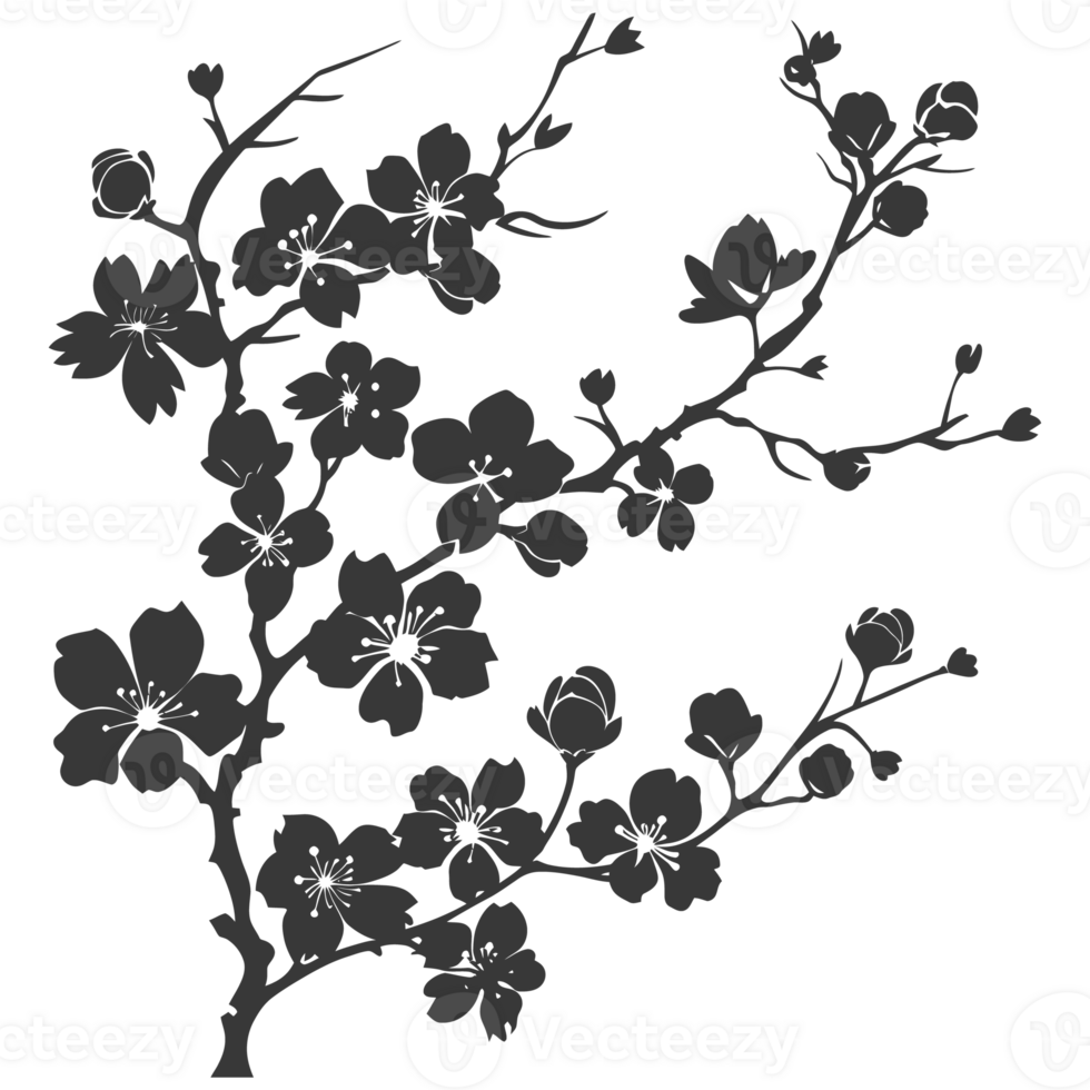 AI generated Silhouette Cherry blossoms or sakura flower black color only png