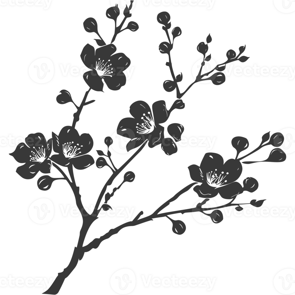 AI generated Silhouette Cherry blossoms or sakura flower black color only png