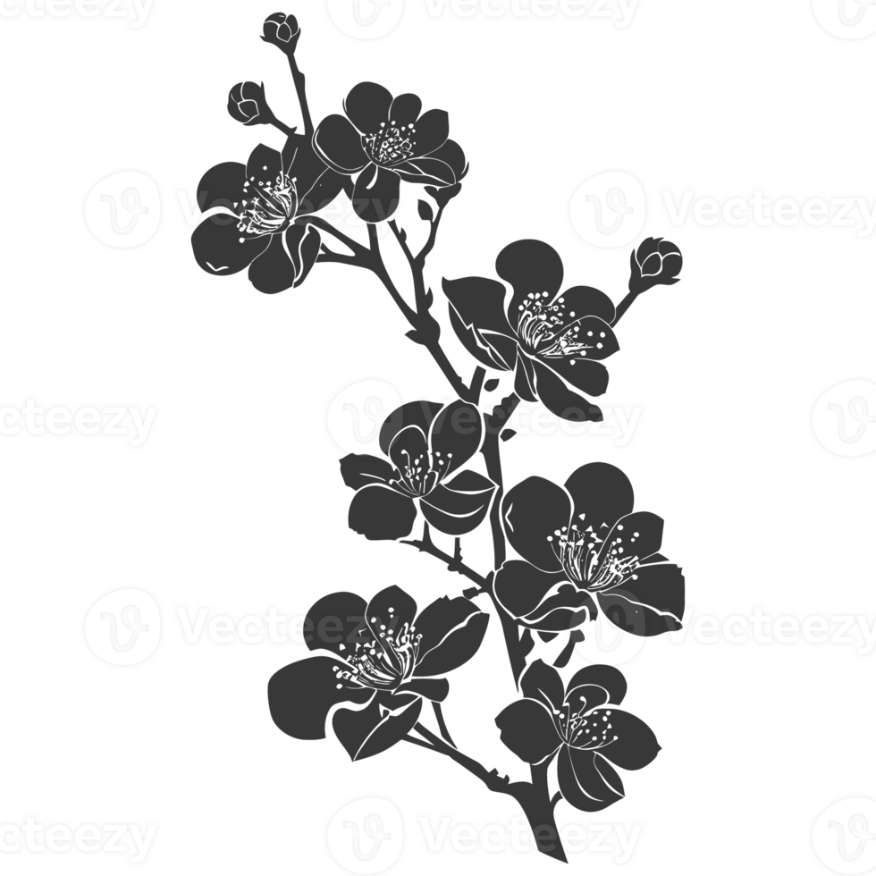 AI generated Silhouette Cherry blossoms or sakura flower black color only png
