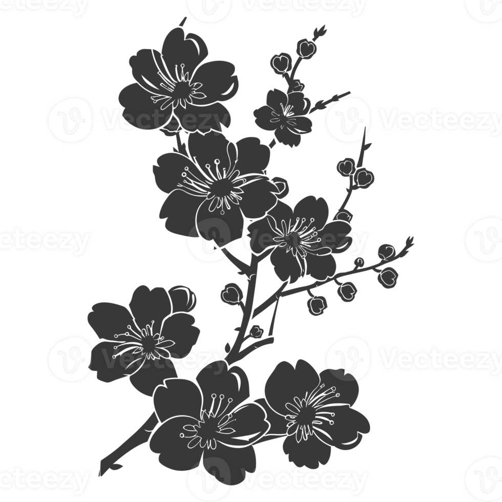 AI generated Silhouette Cherry blossoms or sakura flower black color only png