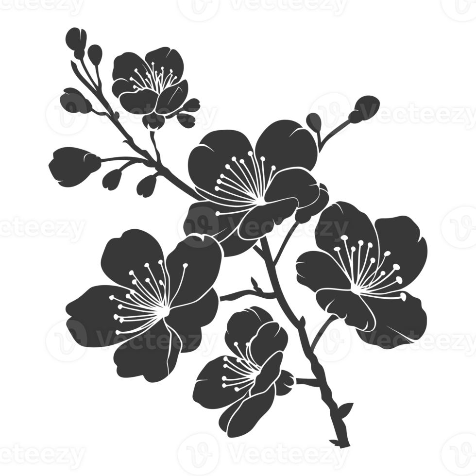AI generated Silhouette Cherry blossoms or sakura flower black color only png