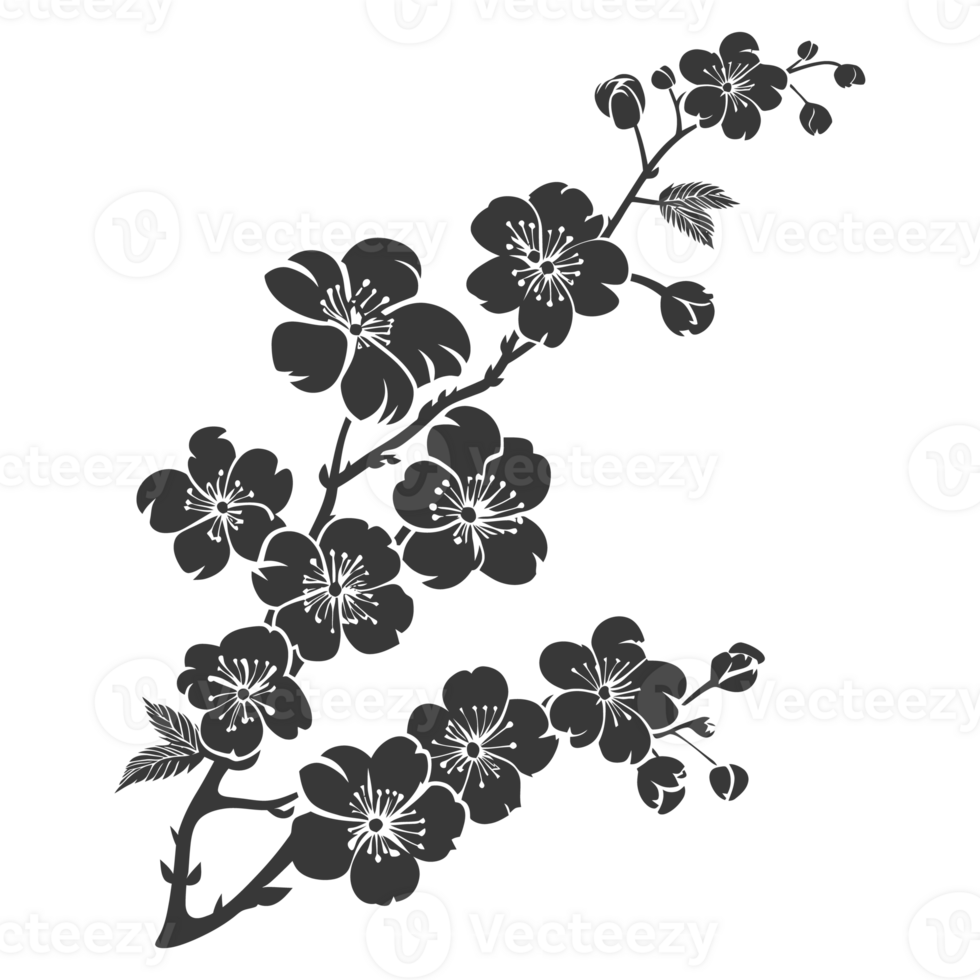 AI generated Silhouette Cherry blossoms or sakura flower black color only png