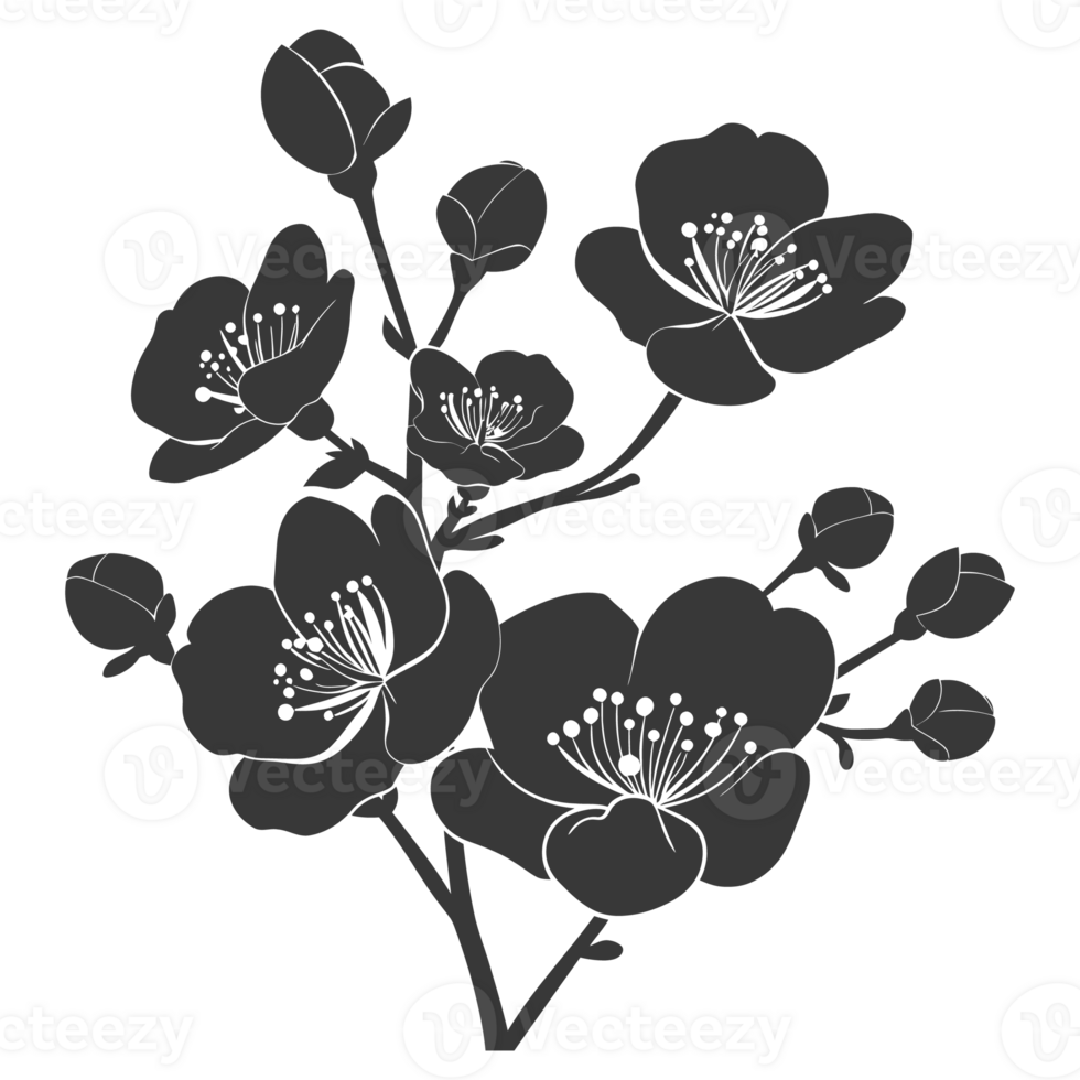 AI generated Silhouette Cherry blossoms or sakura flower black color only png